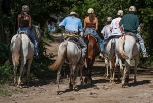 Liberia: Regnskov og vandfald på hesteryg