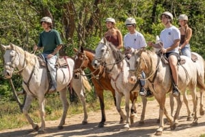 Liberia: Regnskov og vandfald på hesteryg