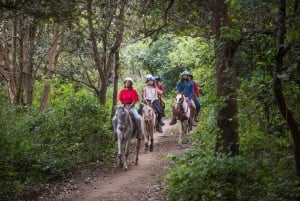 Liberia: Ziplining, River Tubing, and Horseback Riding Trip