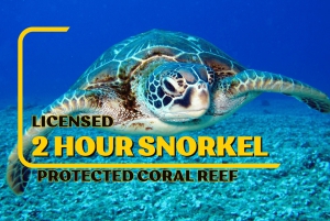 LICENSED Two-Hour Snorkeling Adventure Cahuita National Park