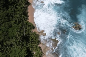 LICENSED Two-Hour Snorkeling Adventure Cahuita National Park