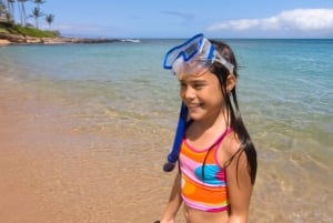 LICENCJONOWANA dwugodzinna przygoda z nurkowaniem w Parku Narodowym Cahuita