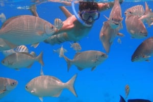 LICENCJONOWANA dwugodzinna przygoda z nurkowaniem w Parku Narodowym Cahuita