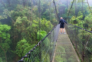 Magic of Nature at Arenal Volcano from Guanacaste