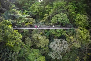 Magic of Nature at Arenal Volcano from Guanacaste