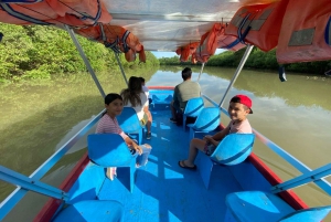 Mangrove and monkey boat Tour UNFORGETTABLE...