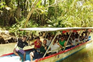 Mangrove and monkey boat Tour UNFORGETTABLE...