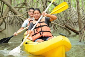 Mangrove Boat / Kayat in Manuel Antonio