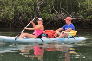 Barca con le mangrovie / Kayat a Manuel Antonio