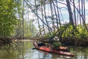 Barca con le mangrovie / Kayat a Manuel Antonio