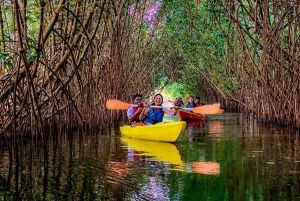 Mangrovebåt/kajak i Manuel Antonio