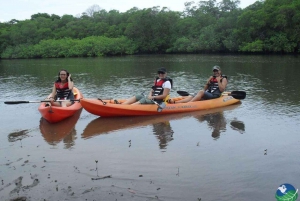 Barco de mangue / caiaque em Manuel Antonio