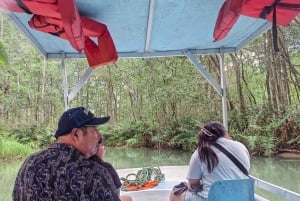 Manuel Antonio : Mangrove boat tour to see animals