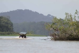 Terraba Sierpe National Wetlands - Mangrove Tour