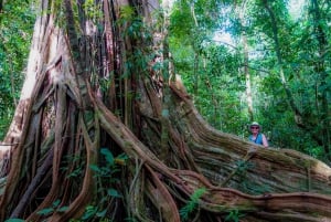 Terraba Sierpe National Wetlands - Mangrove Tour