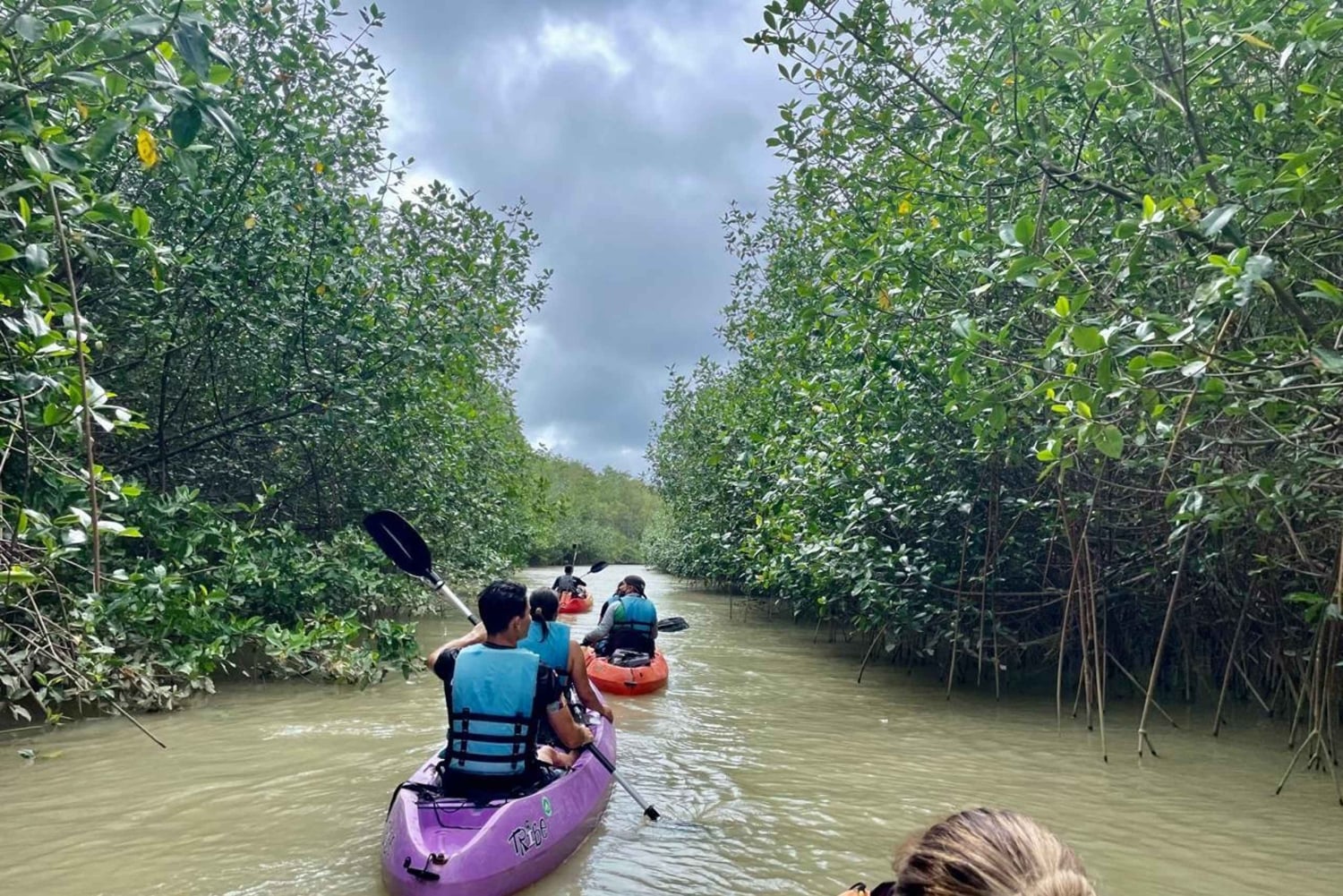 Mangrove Tour in Damas Island by Kayak or Boat