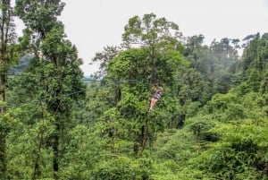 Manuel Antonio: Zipline, Rappels, and Waterfalls Tour