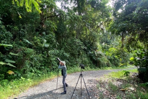 Manuel Antonio : Excursion exclusive pour l'observation des oiseaux