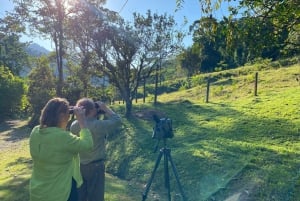 Manuel Antonio: Eksklusiv tur med fuglekikking