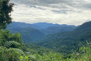 Manuel Antonio : Excursion exclusive pour l'observation des oiseaux