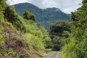 Manuel Antonio: Exklusiv rundtur med fågelskådning