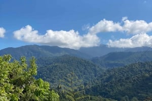 Manuel Antonio : Excursion exclusive pour l'observation des oiseaux