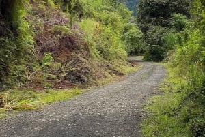 Manuel Antonio: Lintujen tarkkailu eksklusiivinen retki