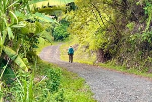 Manuel Antonio: Birdwatching exclusive tour