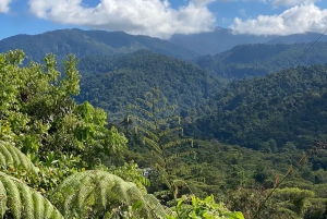 Manuel Antonio: Birdwatching exclusive tour