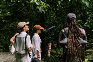 Manuel Antonio: Birdwatching exclusive tour