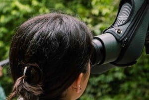 Manuel Antonio: Birdwatching exclusive tour