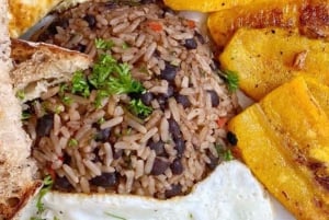 Manuel Antonio: Birdwatching exclusive tour