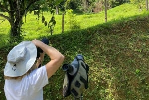 Manuel Antonio: Birdwatching exclusive tour