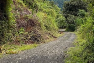 Manuel Antonio: Birdwatching exclusive tour