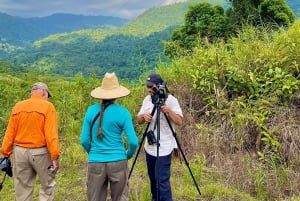 Manuel Antonio: Birdwatching exclusive tour