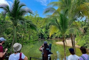 Manuel Antonio: Birdwatching exclusive tour