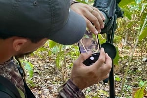 Manuel Antonio: Birdwatching exclusive tour