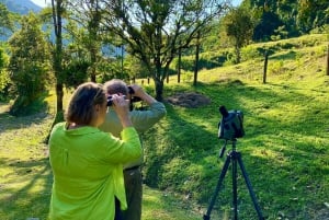 Manuel Antonio: Birdwatching exclusive tour