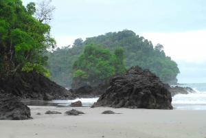 Manuel Antonio: Scopri le foreste tropicali e la sabbia bianca