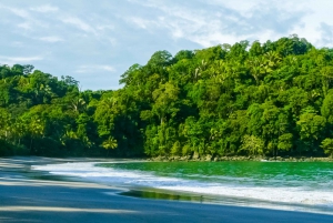 Manuel Antonio: Scopri le foreste tropicali e la sabbia bianca