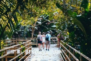 Manuel Antonio: Scopri le foreste tropicali e la sabbia bianca