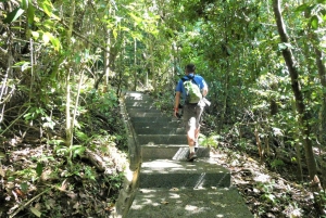 Manuel Antonio: Scopri le foreste tropicali e la sabbia bianca