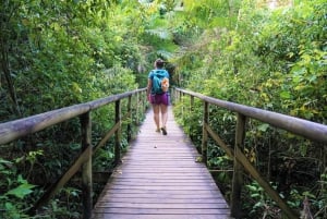Manuel Antonio: Scopri le foreste tropicali e la sabbia bianca
