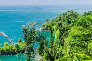 Manuel Antonio: Scopri le foreste tropicali e la sabbia bianca