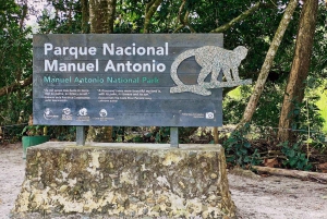 Manuel Antonio: Scopri le foreste tropicali e la sabbia bianca