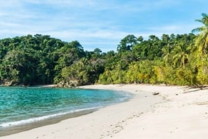 Manuel Antonio: Scopri le foreste tropicali e la sabbia bianca