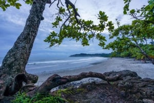 Manuel Antonio: Scopri le foreste tropicali e la sabbia bianca