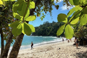 Manuel Antonio: Scopri le foreste tropicali e la sabbia bianca