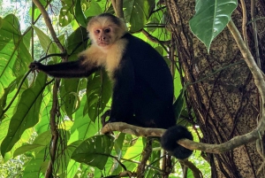 Manuel Antonio: Scopri le foreste tropicali e la sabbia bianca