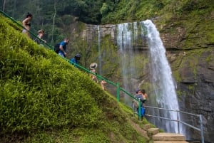Manuel Antonio: Eco Chontales vandfaldsvandring med frokost